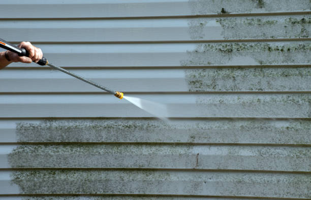 Best Residential Pressure Washing Services  in Tenino, WA