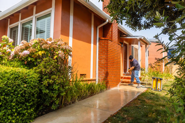 Best Exterior Home Cleaning  in Tenino, WA