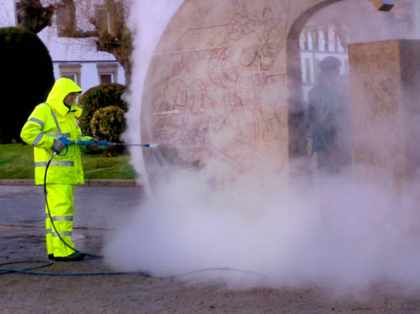Roof Power Washing Services in Tenino, WA