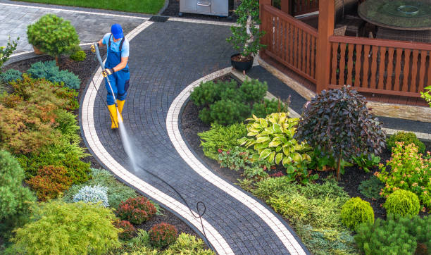 Best Sidewalk Pressure Washing  in Tenino, WA