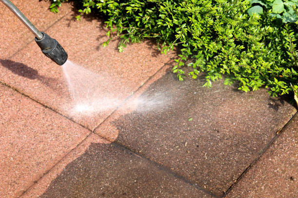 Best Deck Pressure Washing  in Tenino, WA